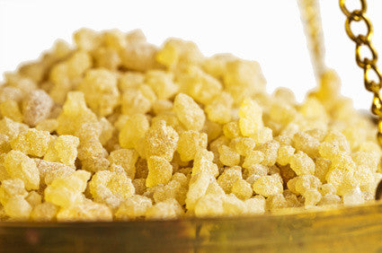 Cápsulas de Boswellia