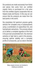 Triphala Capsules