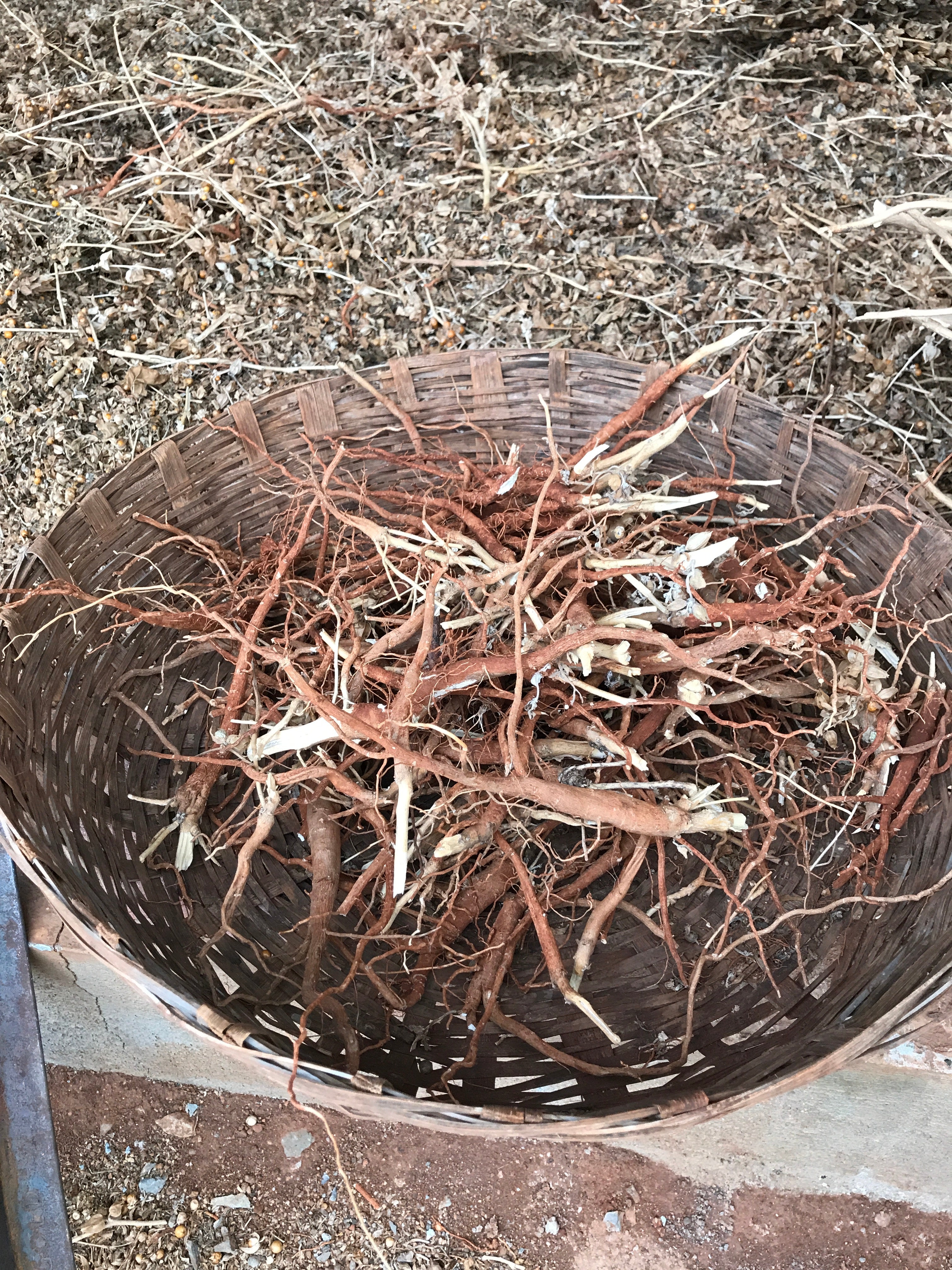 Cápsulas de Ashwagandha