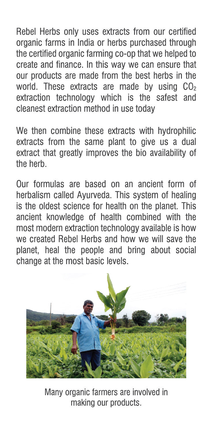 Cápsulas Vegetarianas Rebel Herbs Organic Imunade - 60 Unidades